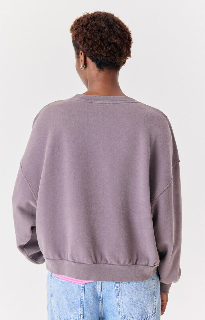 American vintage Jitbay Sweatshirt in Cendre Vintage