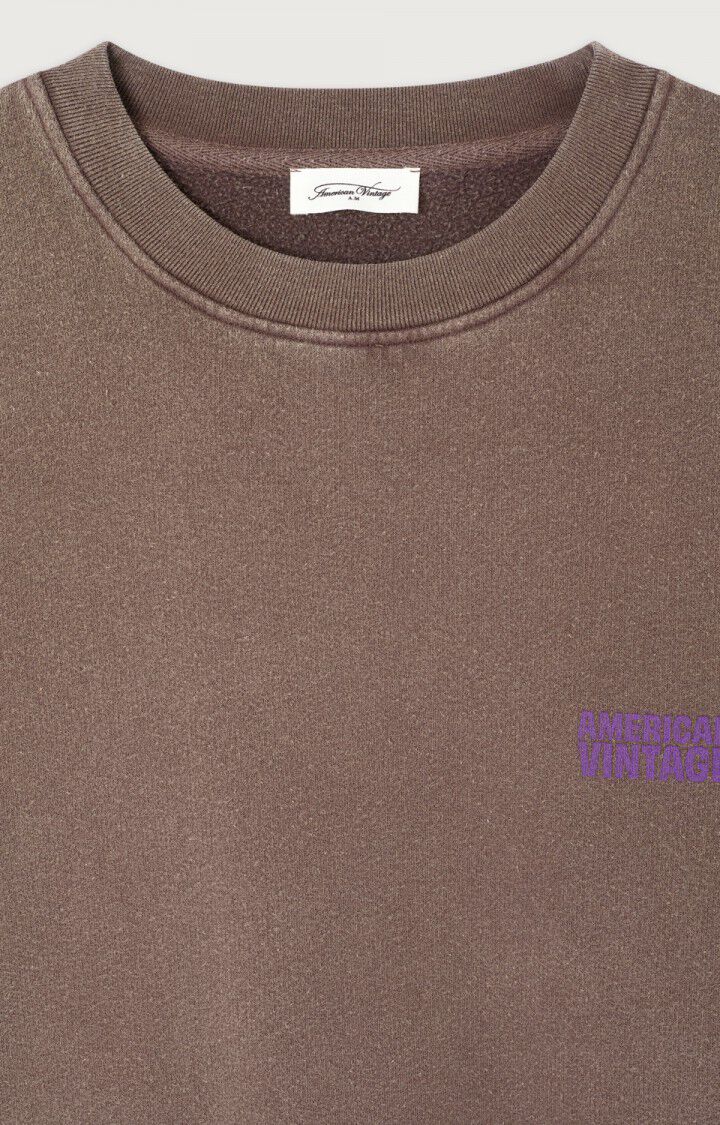 American Vintage  Plizzy Sweatshirt in Chataignier Vintage