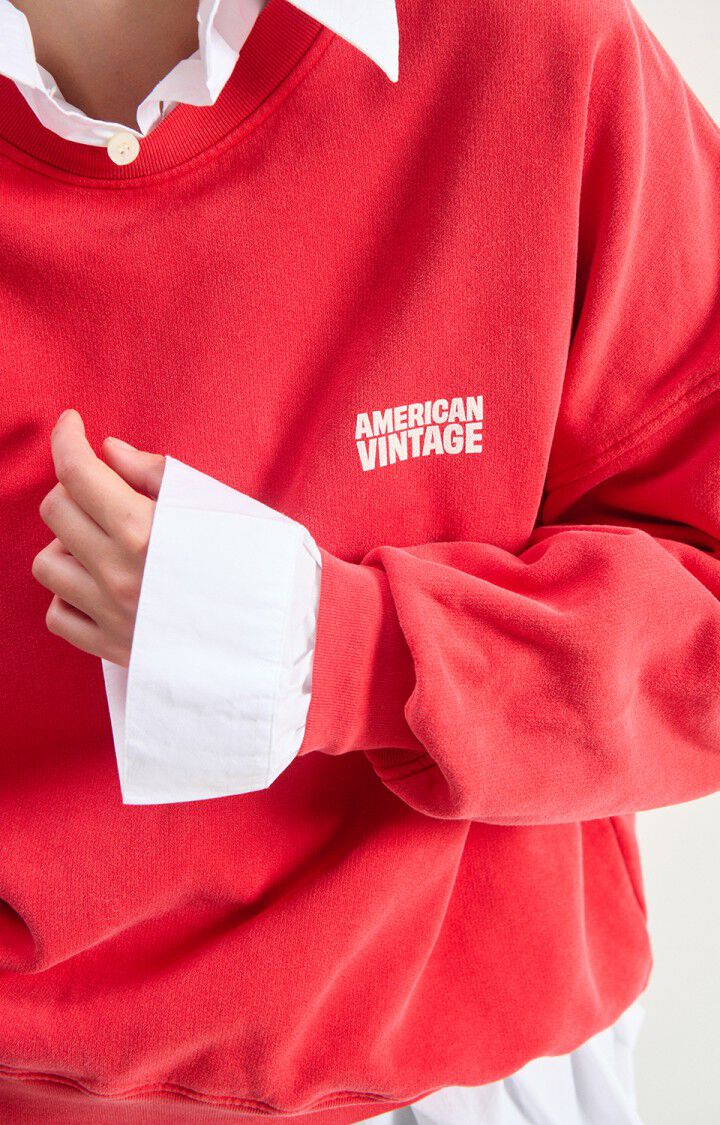 American Vintage  Plizzy Sweatshirt in Volcan Vintage