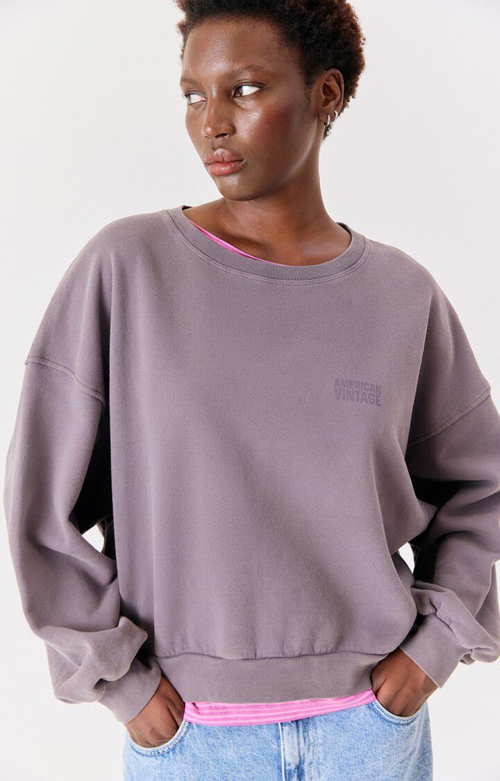 American vintage Jitbay Sweatshirt in Cendre Vintage