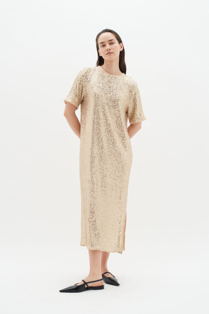 Inwear Barbara Long Dress in Gold