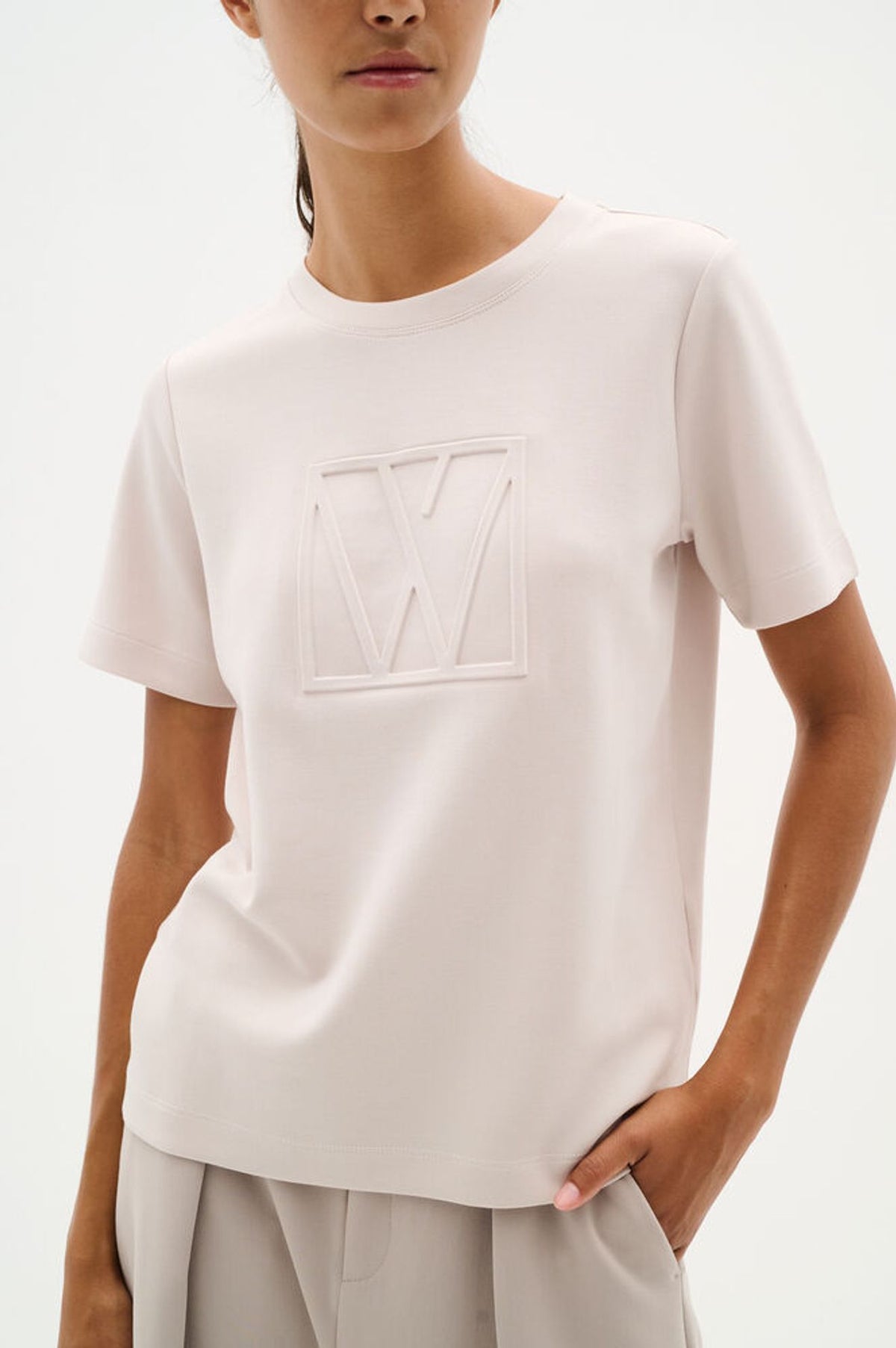Inwear Vincent Logo T Shirt In Haze Nature