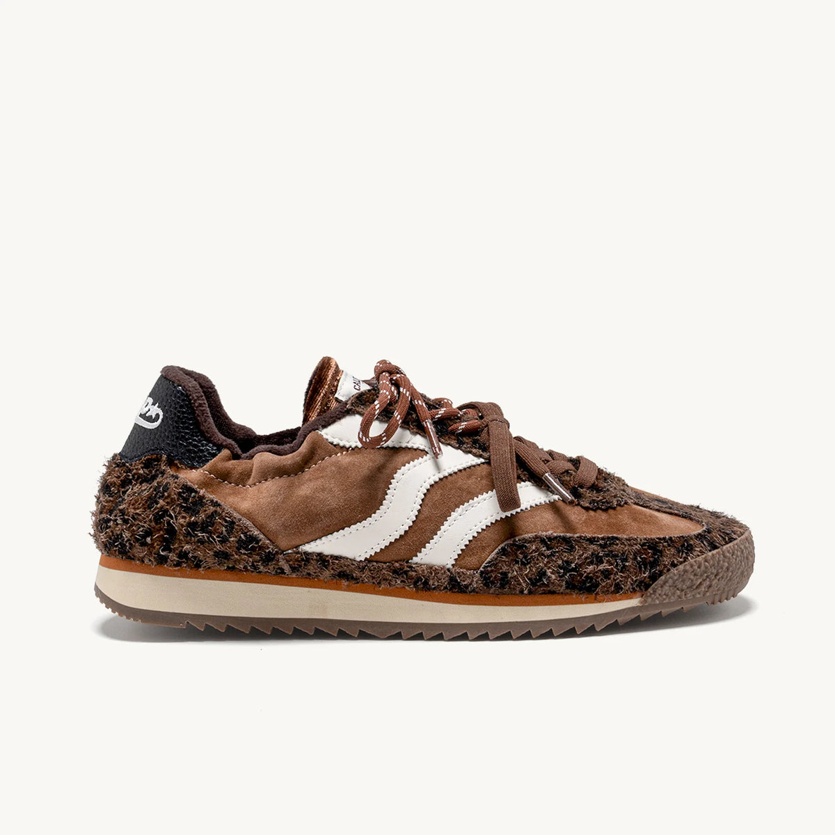 MRP Star Utah trainer in Leo warm